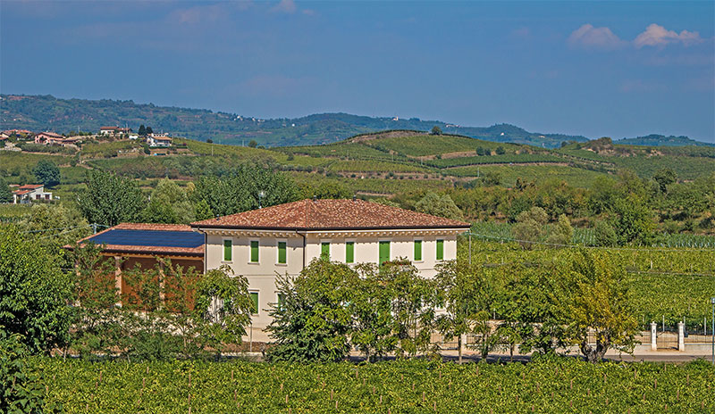 Corte Allodola :: italian wines