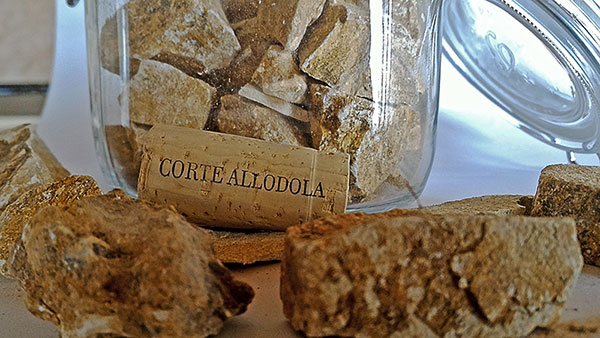 italian wines :: Corte Allodola